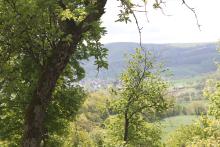 View from Giant Mountain