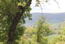 View from Giant Mountain