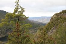 View from Giant Mountain