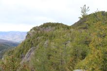 View from Giant Mountain