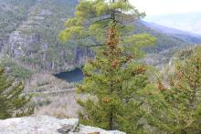 View from Giant Mountain