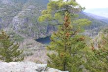 View from Giant Mountain