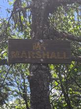 View from Marshall