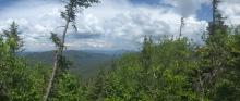 View from Marshall