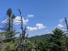 View from Emmons
