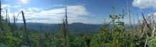 View from Seymour