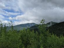 View going up Dial