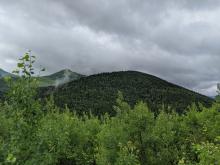 View going up Dial