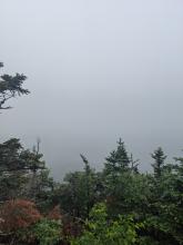 View on the way up Lower Wolfjaw