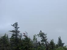 View from Upper Wolfjaw