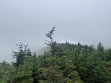 View from Upper Wolfjaw