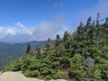 View from Armstrong