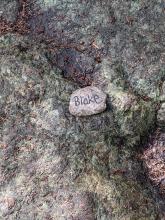 Blake Peak