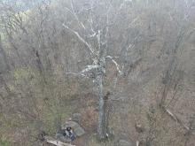 View from Tremper