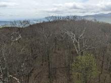 View from Tremper