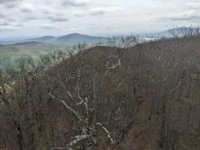 View from Tremper