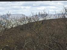 View from Tremper