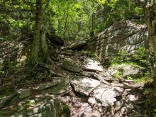 Trail to Panther / Giant's Ledges