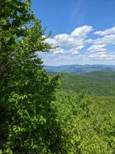 View from Giant's Ledges