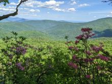 View from Giant's Ledges