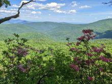 View from Giant's Ledges