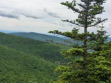 View from Black Dome