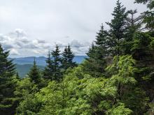 View from Blackhead