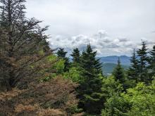 View from Blackhead