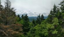 View from Blackhead