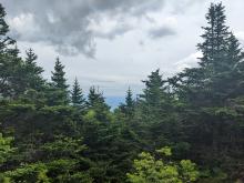 View from Blackhead