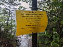 Top of Mt. VanHovenberg