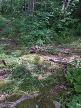 Trail to KHP