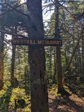 Trail to Westkill