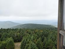 View from Hunter