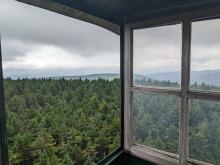 View from Hunter