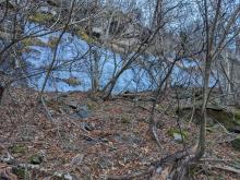Trail to Sugarloaf