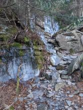 Trail to Sugarloaf