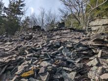 Trail to Sugarloaf