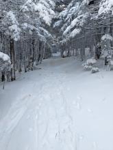 Trail to Slide