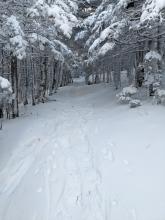 Trail to Slide