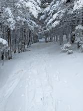 Trail to Slide