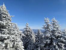 View from Slide