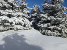 View from Slide