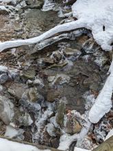 Trail to Panther / Giant's Ledges