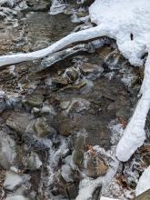 Trail to Panther / Giant's Ledges