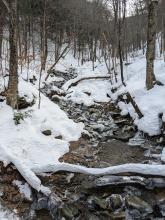 Trail to Panther / Giant's Ledges