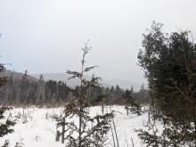 Trail to Allen