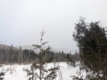 Trail to Allen