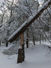 Trail to Indian Head / Twin
