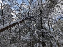 Trail to Indian Head / Twin
